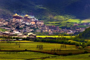 SHANGRI-LA-RANCH-SCENERY