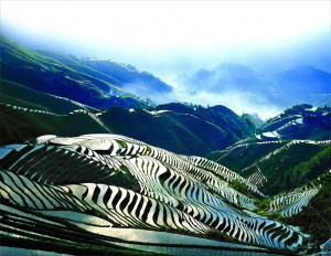 terraced-fields-(dazhai--village-section)