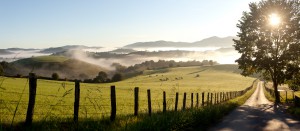 64,paysage entre Saint Jean Pied de Port et la frontière espagnole.