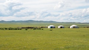Mongolie2013-1000991