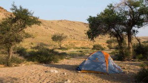 Mongolie2013-1010274