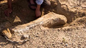 Mongolie2013-1010352