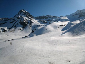 1510488_828369940522391_906579952_n