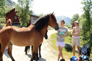 Hardangervidda 2013 passeport expe 396