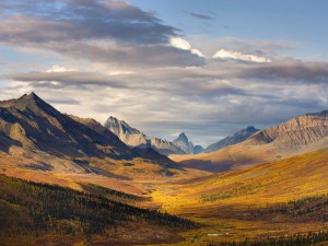 North-Klondike-River-Valley-Tombstone-Territorial-Park-Yukon-Canada